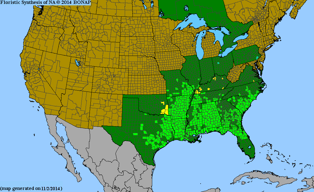 County distribution map of Aesculus pavia var. pavia - Red Buckeye